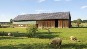 Le photovoltaïque au service des agriculteurs