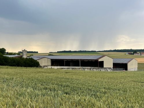 Installation revente totale, secteur agriculture à Tréfols (51210)